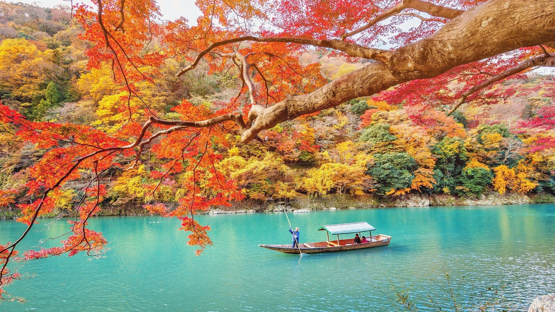 Fall Flavors in Japan